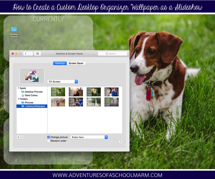 Are you tired of having the same desktop organizer on your computer for too long? Use this tutorial to create a custom wallpaper slideshow that will automatically cycle through all of your favorite photos.
